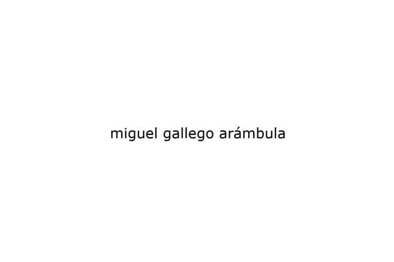 miguel-gallego-armbula