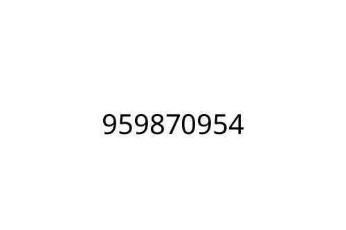 959870954