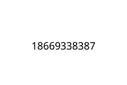 18669338387