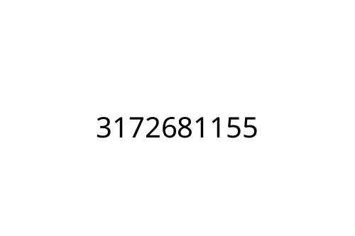3172681155