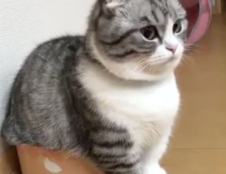 1zy549vdwefaqwd54670