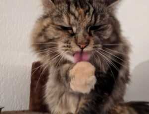 tour7198420220927165356