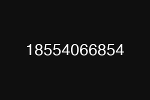 18554066854