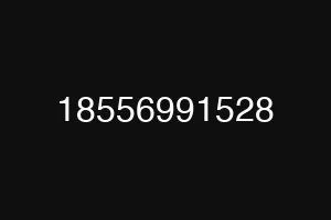 18556991528