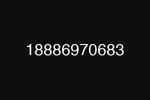 18886970683