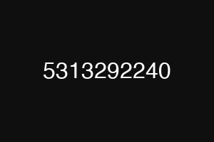 5313292240