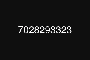 7028293323