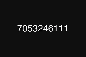 7053246111