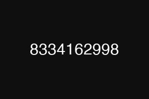 8334162998