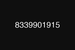 8339901915