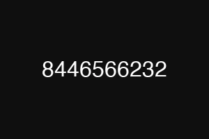 8446566232