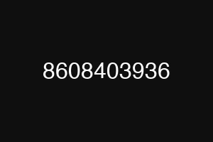 8608403936