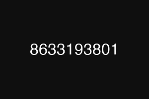 8633193801