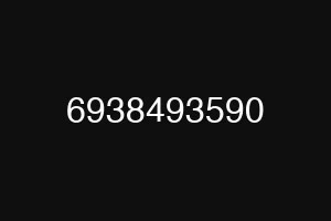 6938493590