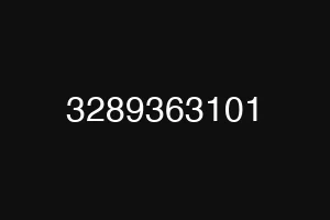 3289363101