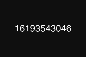 16193543046