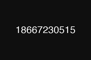18667230515