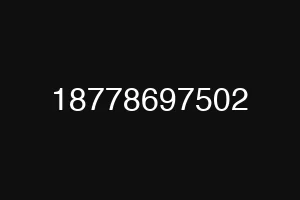 18778697502