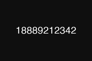 18889212342