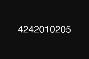 4242010205