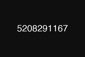 5208291167