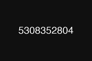 5308352804