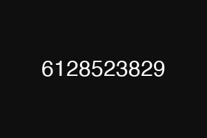 6128523829