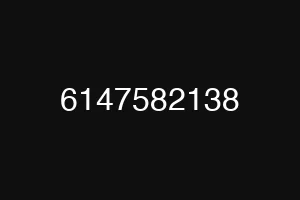 6147582138