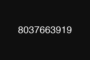 8037663919