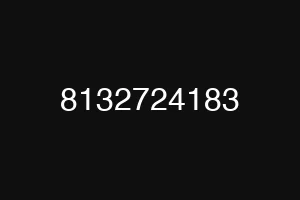 8132724183