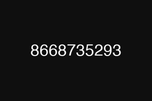 8668735293