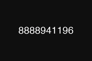 8888941196