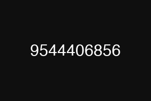 9544406856